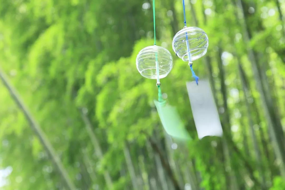 1588810607125880.jpg 22.jpg