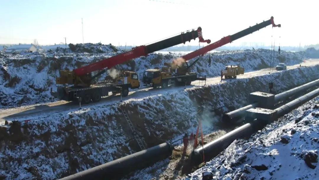 1615771154810245.jpg 7.jpg